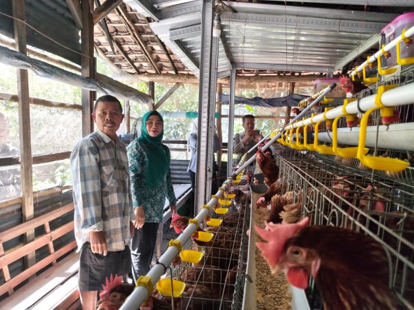 TP PKK Bojonegoro Fokus Penguatan Ketahanan Keluarga, Sinergi Program Gayatri hingga Pengelolaan Sampah