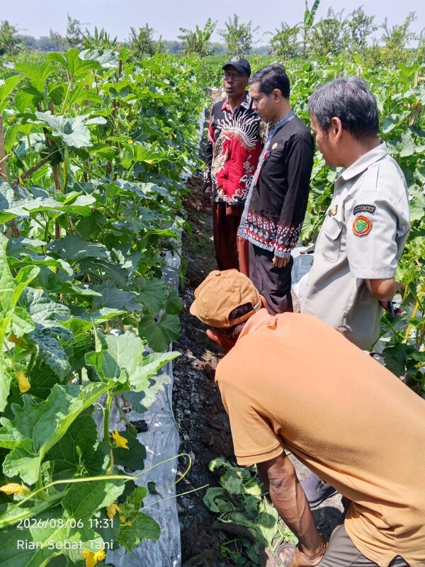 Meski Lahan Sempit, Mbah Dul Petani Bojonegoro Ini Sukses Hasilkan Beragam Komoditas Pertanian