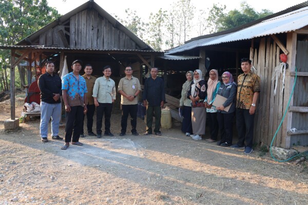 Sukses Kembangkan Usaha, Kelompok Ternak Sapi Lembu Suro Desa Hargomulyo Ikuti Penilaian Jatim