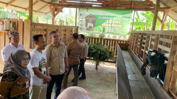 Inovatif dan Mandiri, Kelompok Ternak Srono Makmur Desa Sumberbendo Masuk Daftar Penilaian Jawa Timur